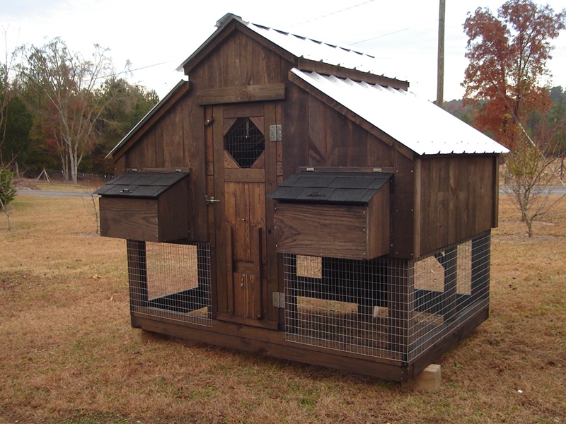 Chicken coop coupons